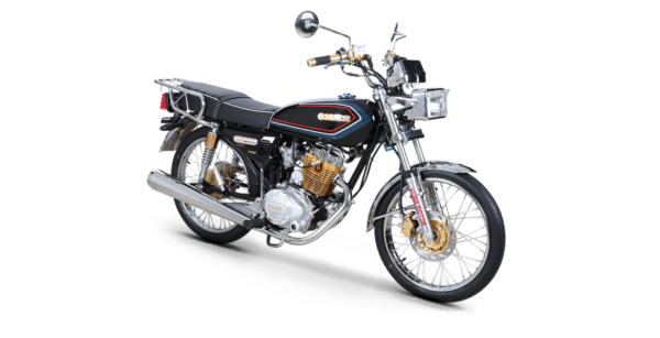 Çita 100R Gold